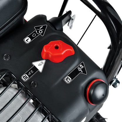 24-In Two-Stage 208-Cc Self-Propelled Gas Snow Blower